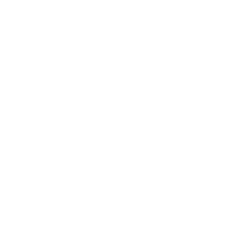 Prudencepm